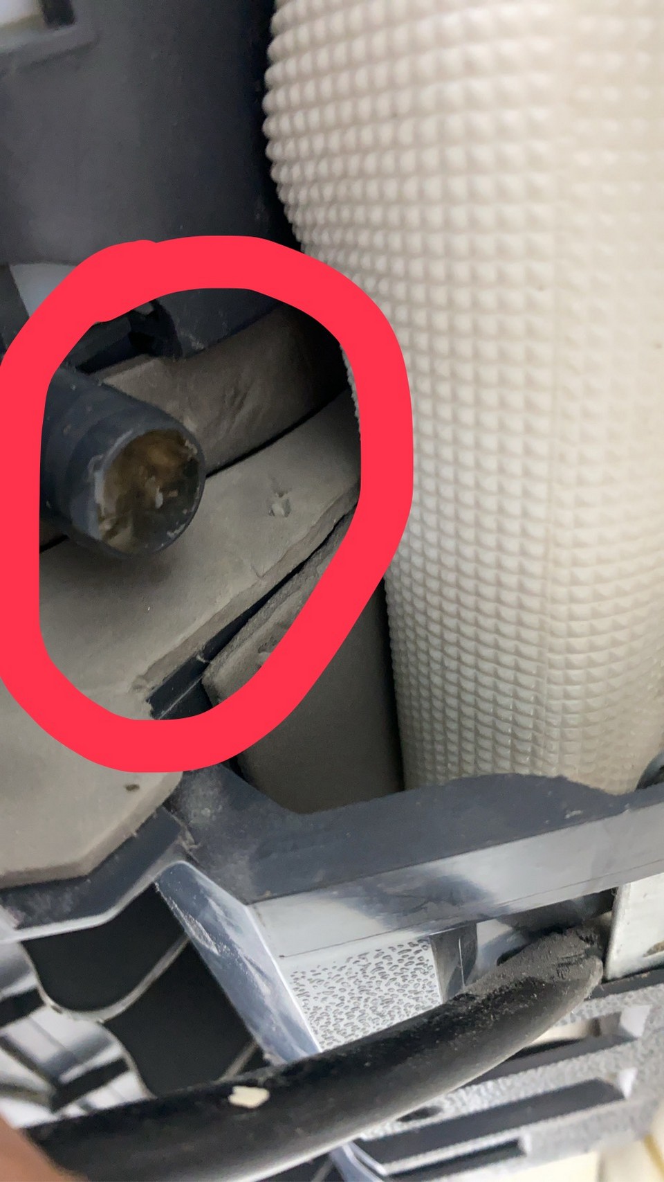 ���c�Ϭ~�N��