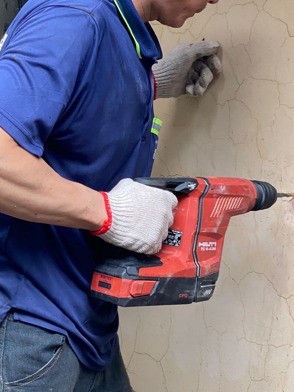 ���c�N��w�ˤu�{