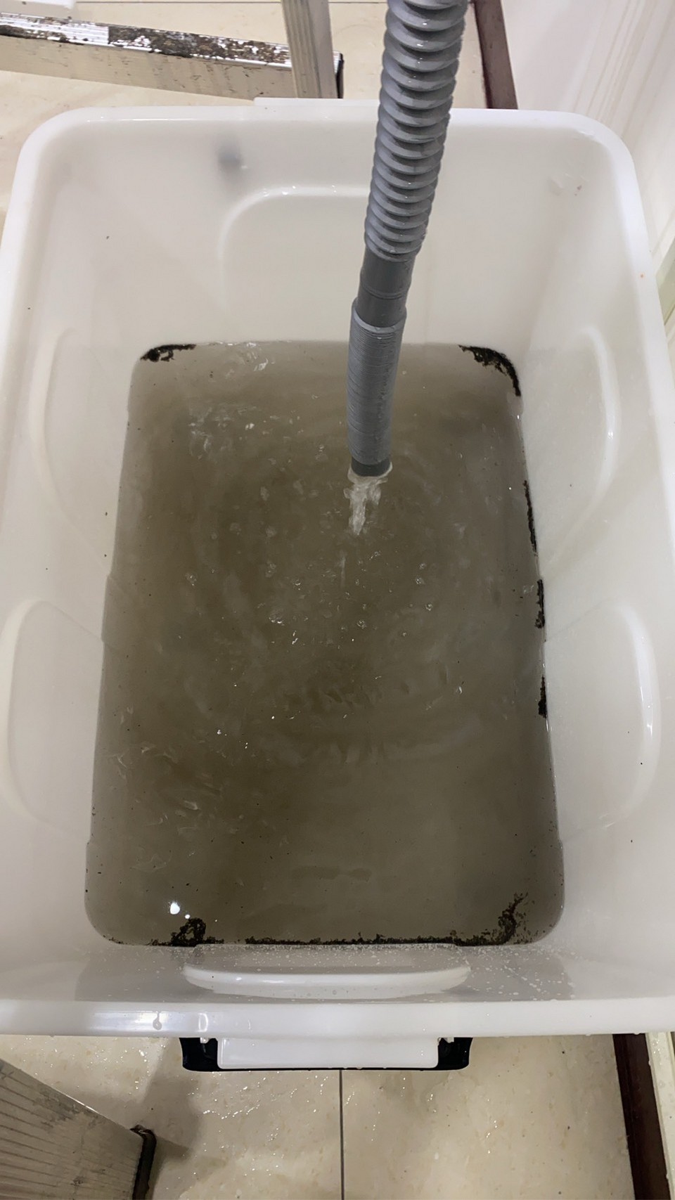 ��餤�c�~�N��