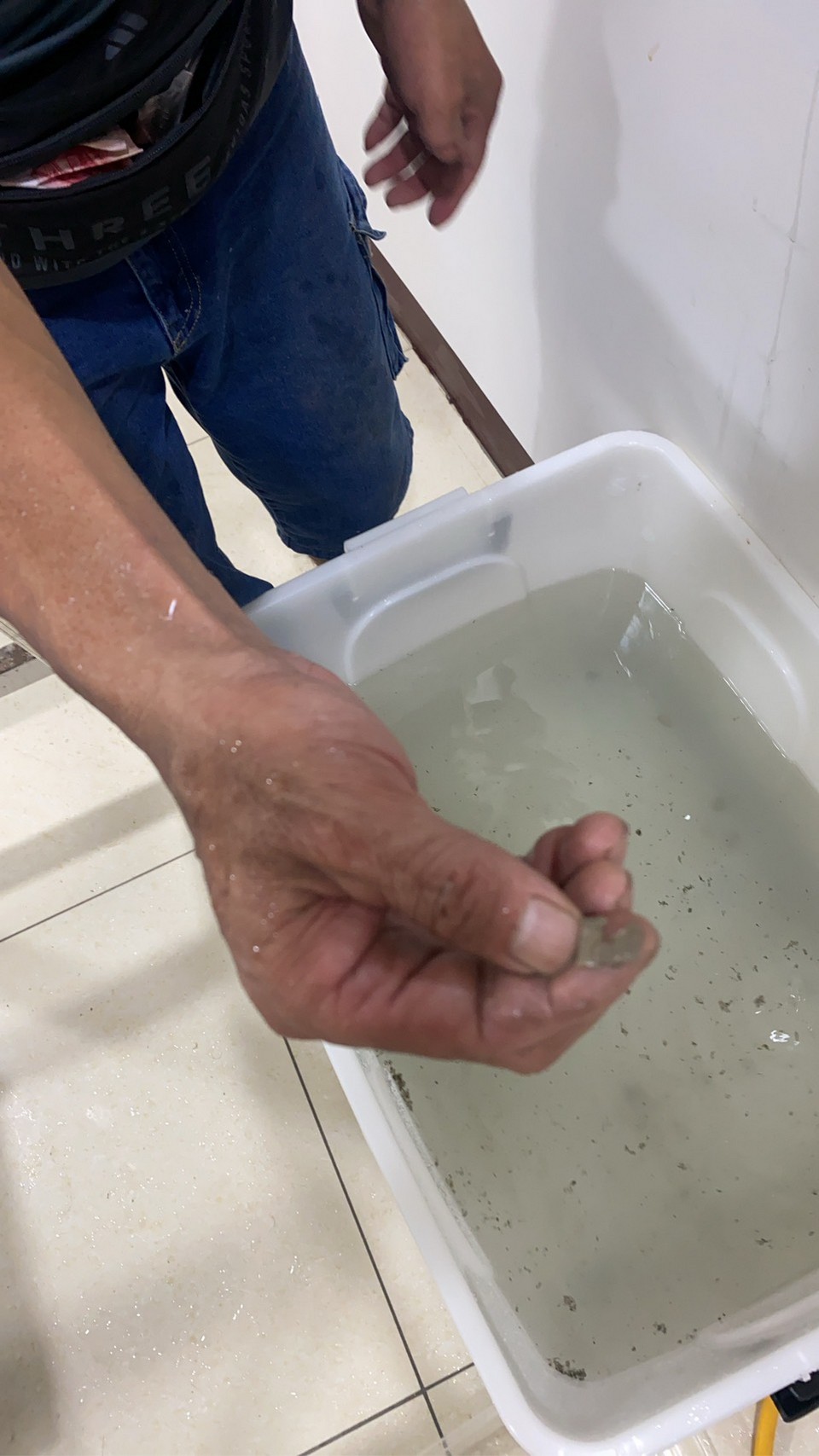 ��餤�c�~�N��