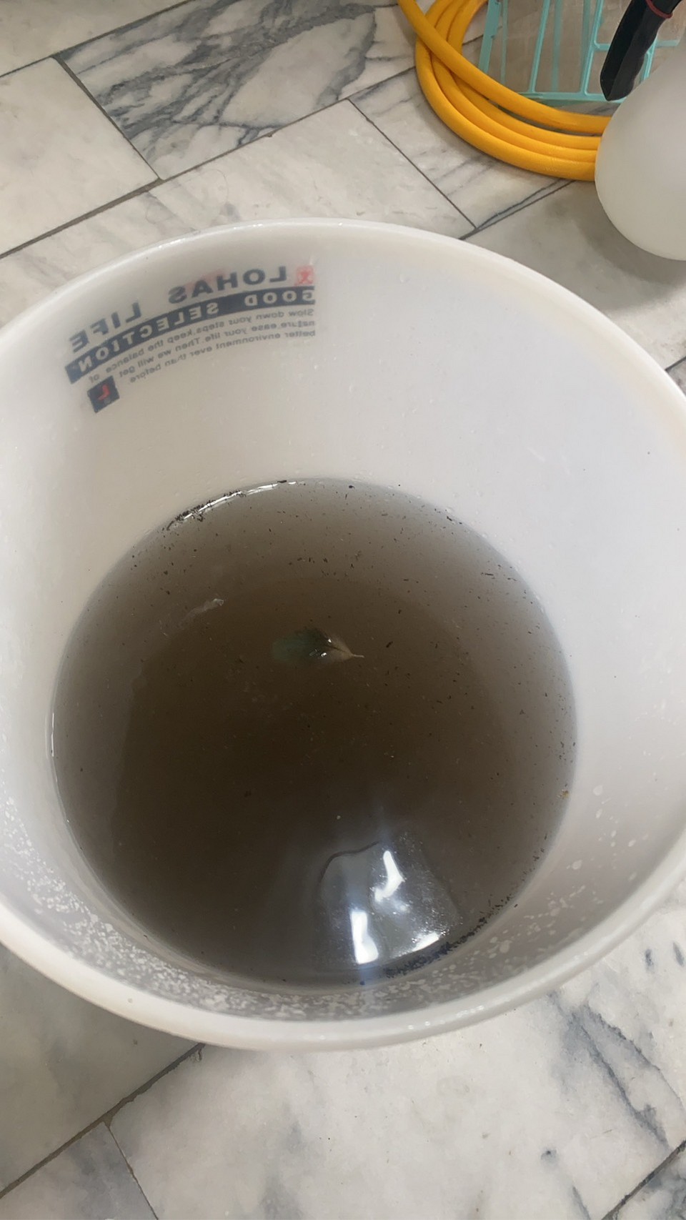 ��饭���~�N��